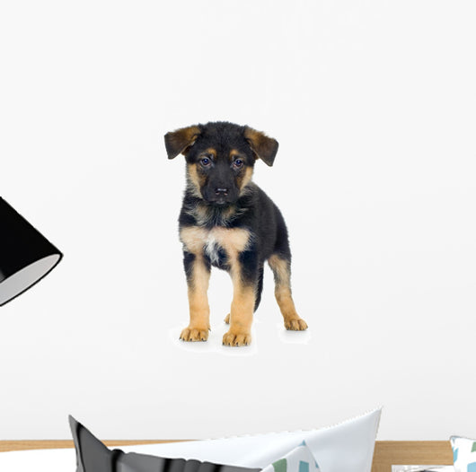 German Shepherd 7 Weeks Alsatian Police Dog Wall Decal
