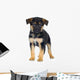 German Shepherd 7 Weeks Alsatian Police Dog Wall Decal
