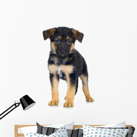 German Shepherd 7 Weeks Alsatian Police Dog Wall Decal