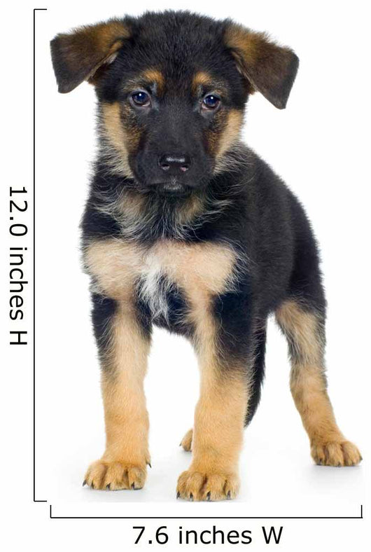 German Shepherd 7 Weeks Alsatian Police Dog Wall Decal
