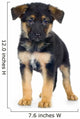 German Shepherd 7 Weeks Alsatian Police Dog Wall Decal