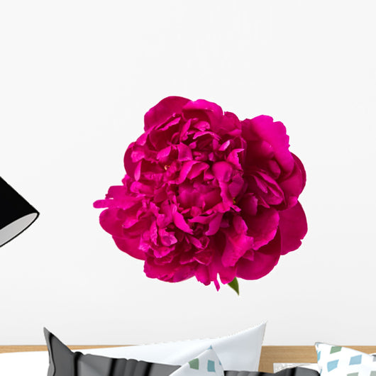 red peony isolated Wall Decal