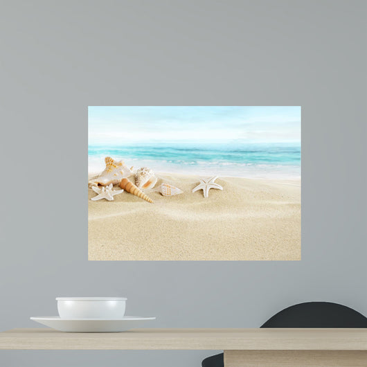 Shells Sandy Beach