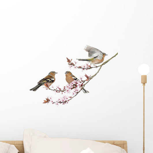Chaffinch Cherry Blossoms Wall Decal