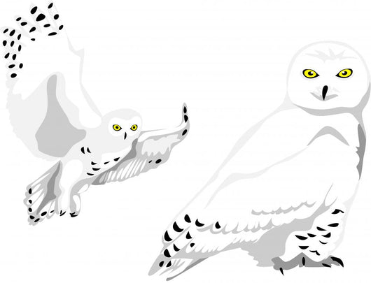 Snowy Owl Wall Mural