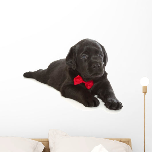 Black Labrador Retriever Puppy Wall Decal
