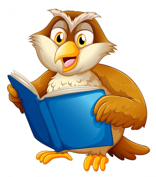 An owl reading Wall Decal