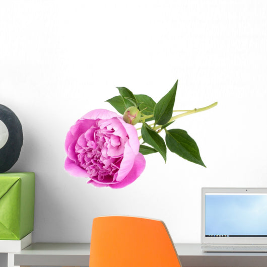 Pink peony Wall Decal