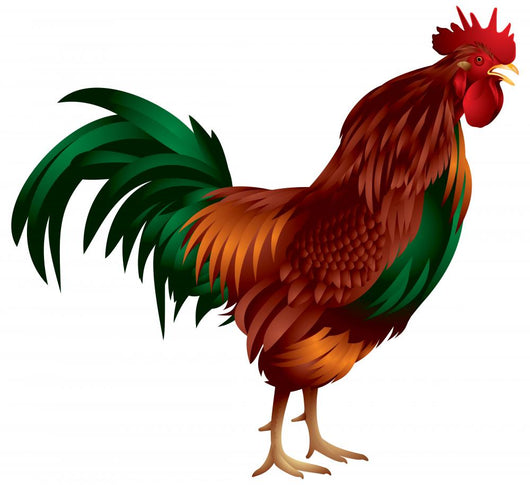 Rooster Wall Decal