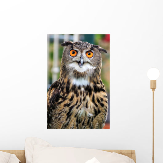 Owl Wall Mural