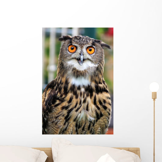 Owl Wall Mural