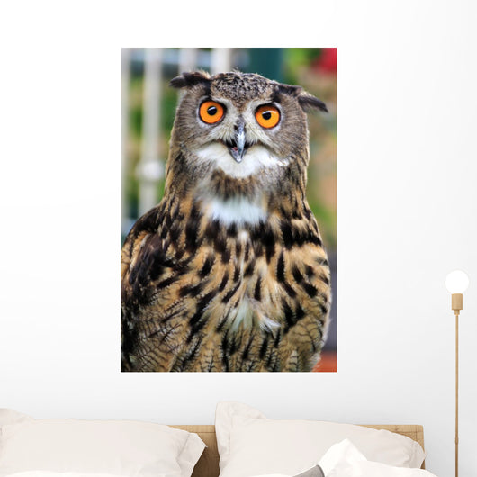 Owl Wall Mural