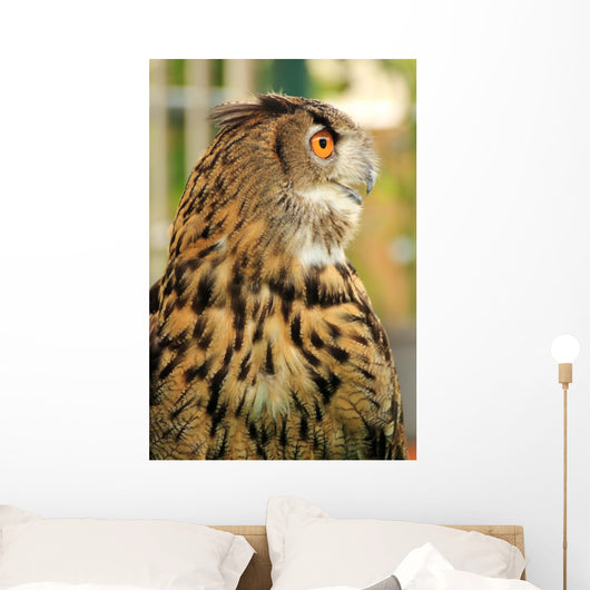 Owl Wall Mural