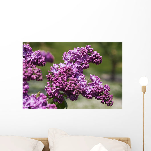Lilac Wall Mural