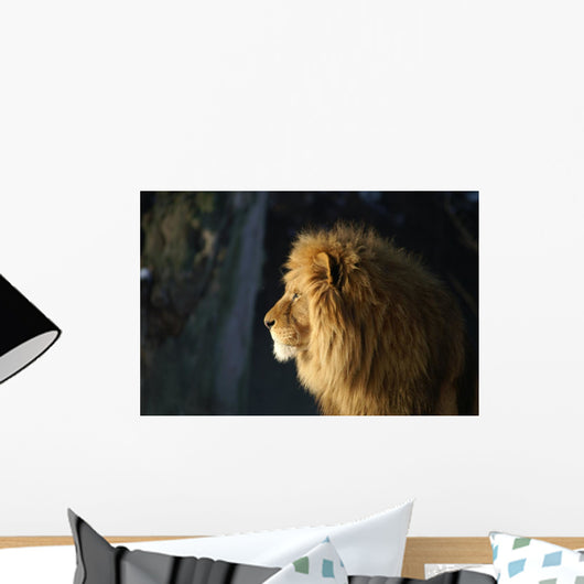 Lion Wall Mural