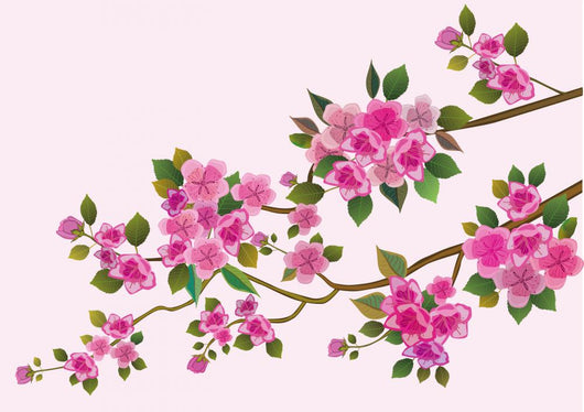Sakura Bird Spring Postcard Wall Mural