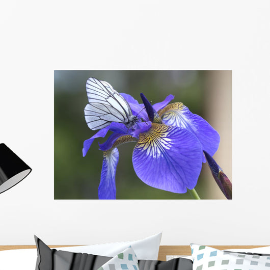 Iris Flower. Wall Mural