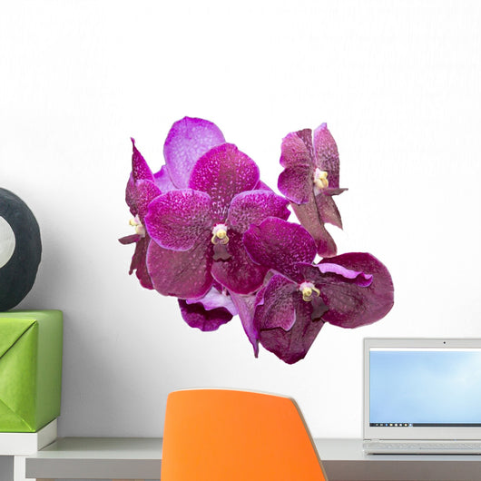 Purple orchid isolated Wall Decal