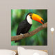 Toucan