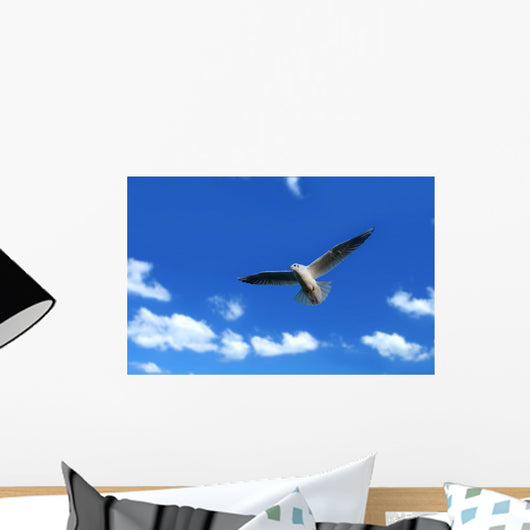 Flying Seagull