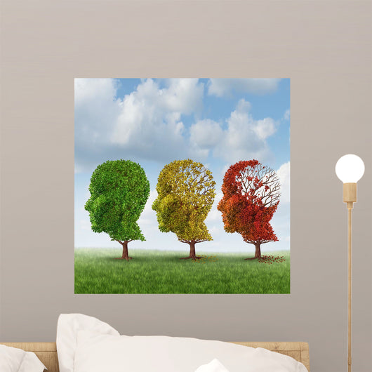 Brain Aging
