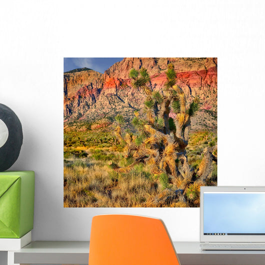 Nevada Yucca Tree