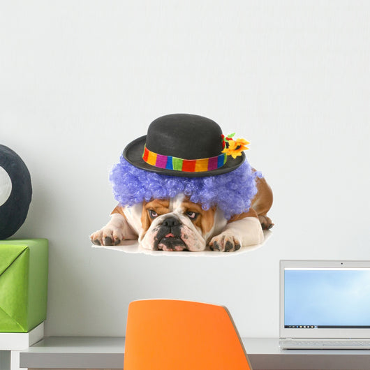 Funny Dog
