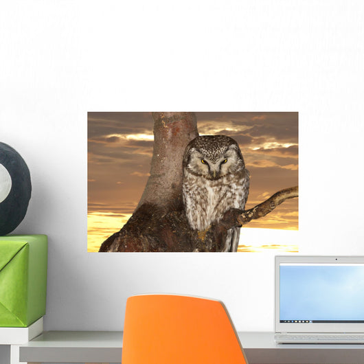 Owl Sunset Yellow Wall Mural