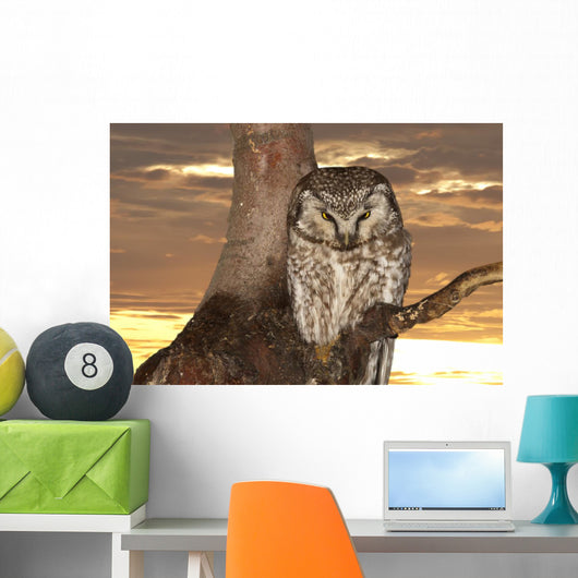Owl Sunset Yellow Wall Mural