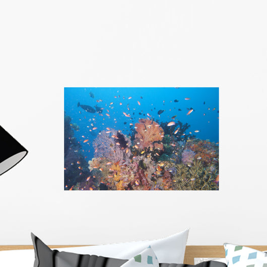 Colorful Underwater Landscape Reef
