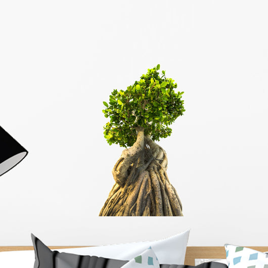 Bonsai Tree White