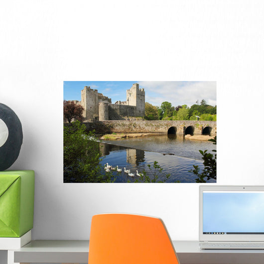 Irish Castle Cahir