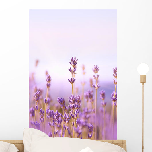Lavender Wall Mural