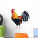 Rooster Photo-realistic Vector