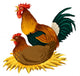 chicken illustration Wall Mural