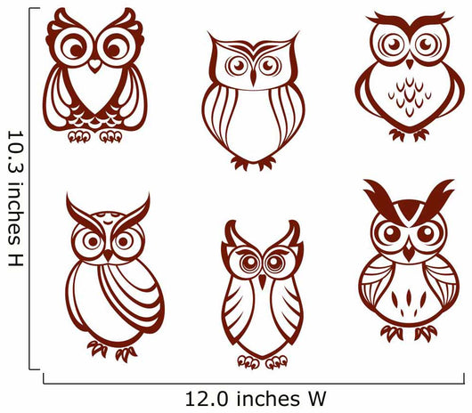 Set Cartoon Owls