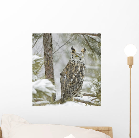 Long Eared Owl in Snowfall Wall Mural