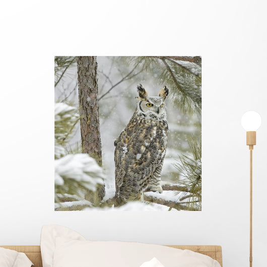 Long Eared Owl in Snowfall Wall Mural