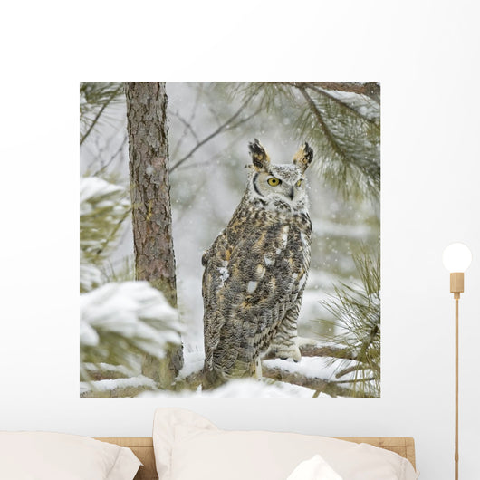 Long Eared Owl in Snowfall Wall Mural