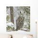 Long Eared Owl in Snowfall Wall Mural
