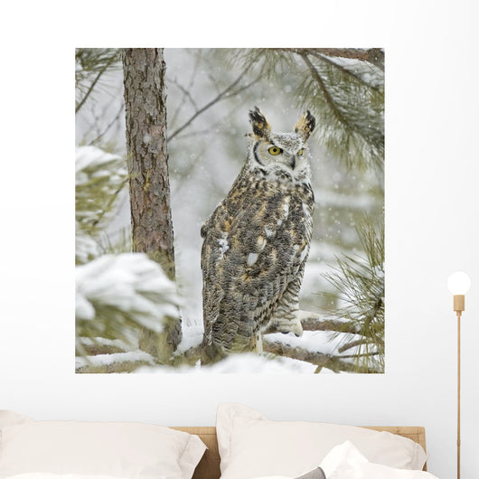 Long Eared Owl in Snowfall Wall Mural