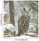 Long Eared Owl in Snowfall Wall Mural