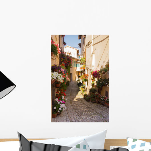 Alley with Flower Pots