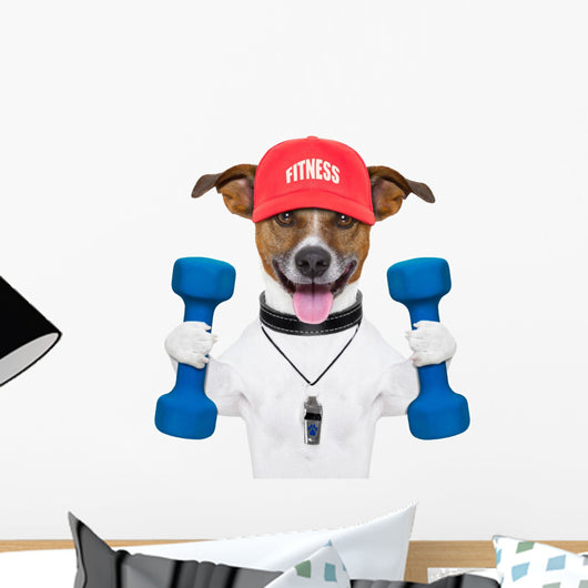Fitness Dog