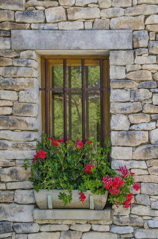 Pretty Window with Red