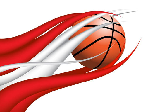 Fahne Ball Austria Wall Mural