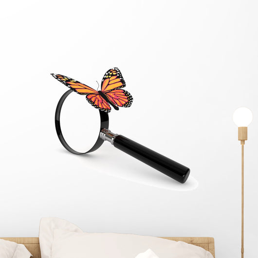 Butterfly with Magnifying Glass Wall Decal