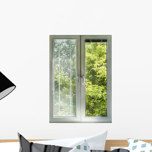 Window