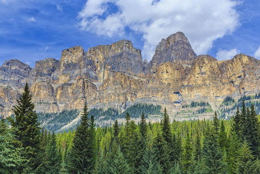 Castle Mountain and coniferous trees, Banff National Park Wall Mural