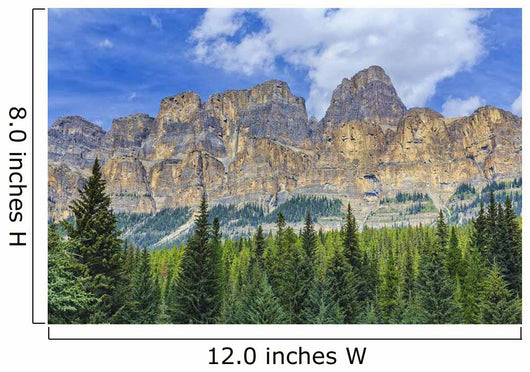 Castle Mountain and coniferous trees, Banff National Park Wall Mural